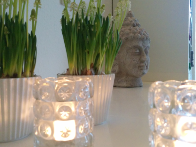Hier gehts zu Aromamassage (30 Minuten)